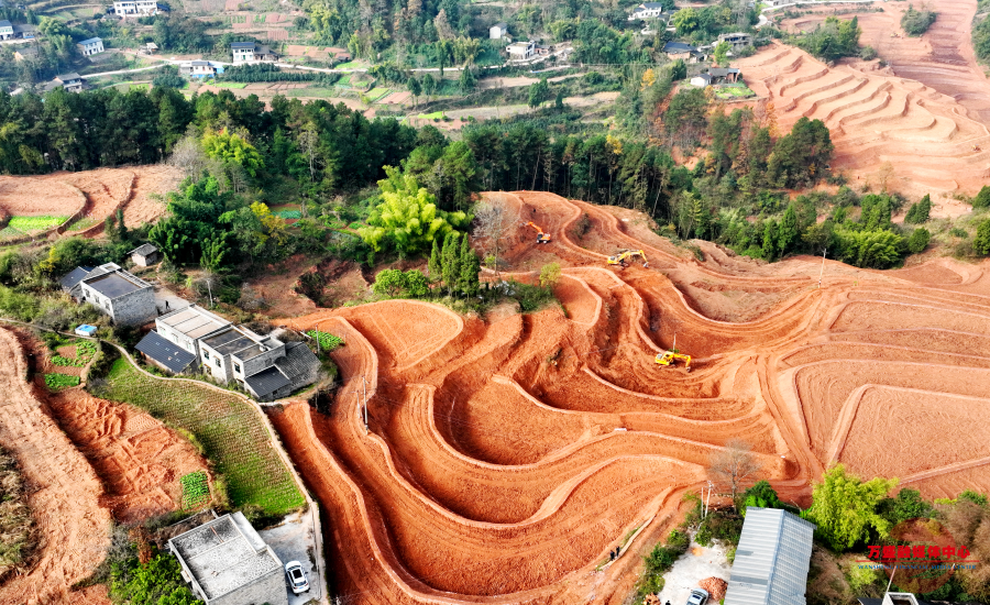 我区建好、管好、用好高标准农田——让农民尝到规模化种粮带来的甜头_重庆市万盛经济技术开发区管理委员会
