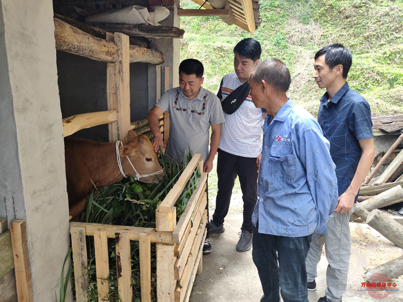 石林镇茶园村村民王正发脱贫记